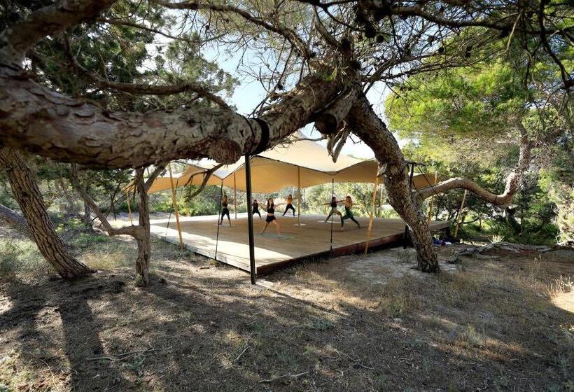 Fotos del hotel Blanco Hotel Formentera:  10