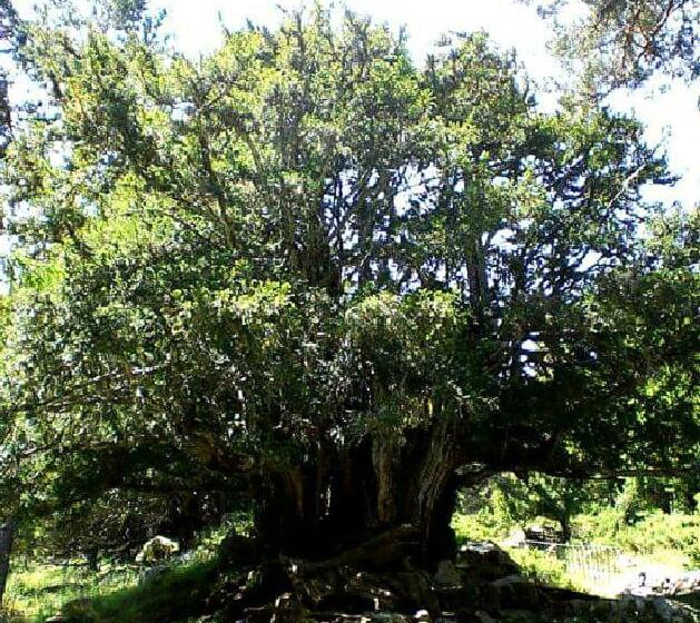 Szálloda Posada El Campanario