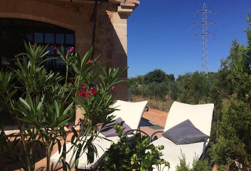 هتل Villa Sampoli   Agroturismo Son Sampoli   Adults Only