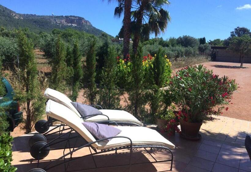 هتل Villa Sampoli   Agroturismo Son Sampoli   Adults Only
