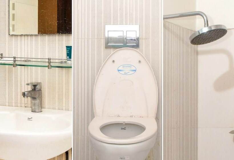 Fotos del hotel Magnate:  22
