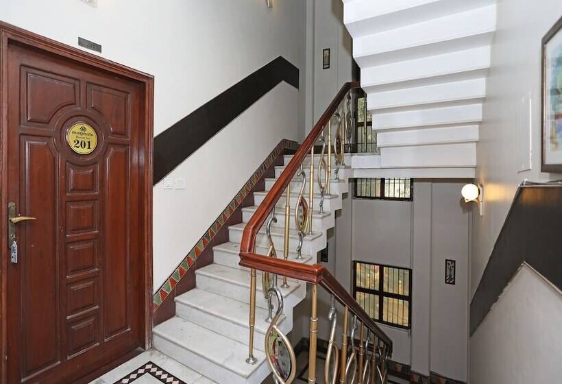 Fotos del hotel Magnate:  32