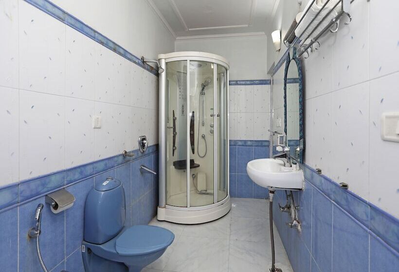 Fotos del hotel Magnate:  49