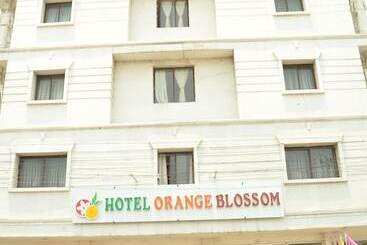 هتل Orange Blossom