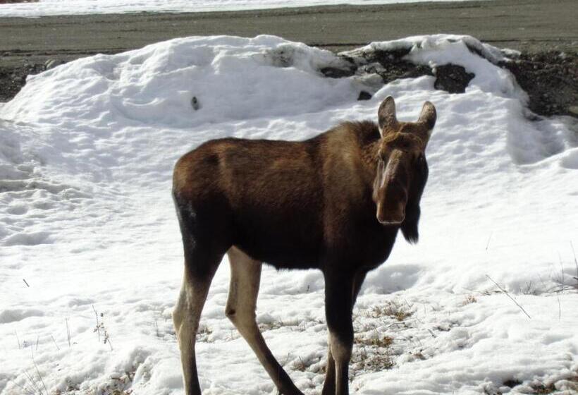 Antler's Rest Bed And Breakfast