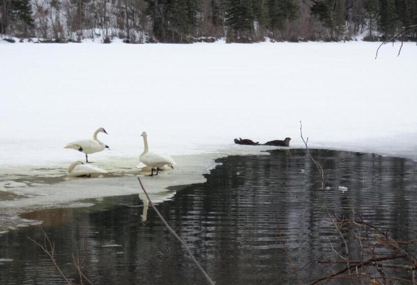 Antler's Rest Bed And Breakfast