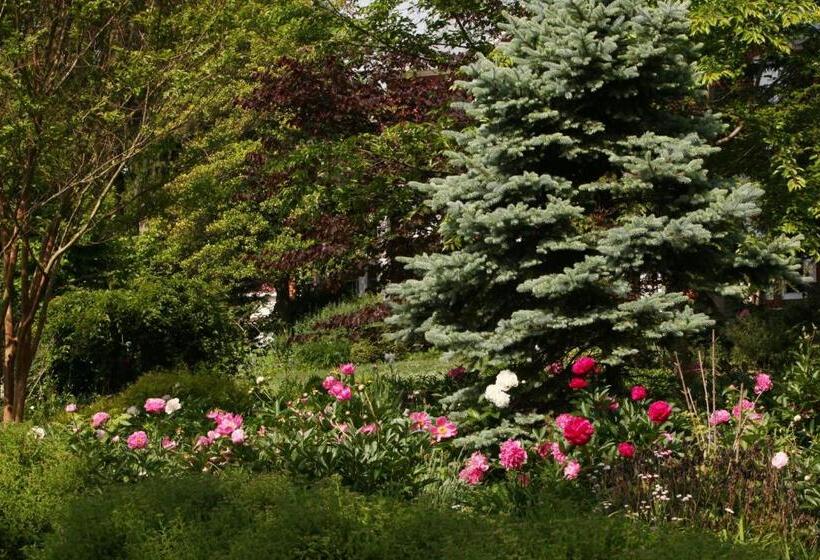 住宿加早餐  South Court Inn