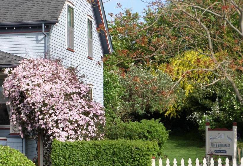 Blue Gull Inn Bed And Breakfast