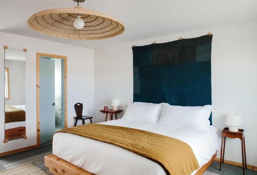 Daunts Albatross Motel