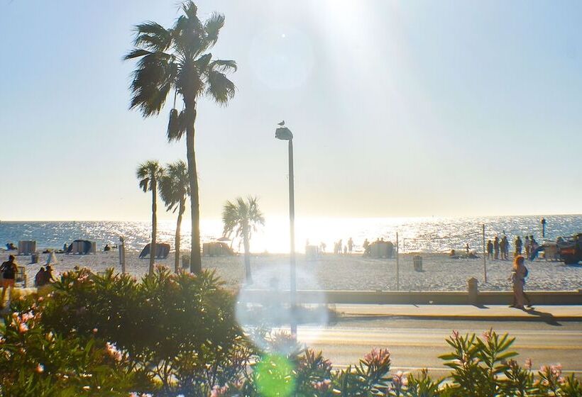 مُتل Devon Shores