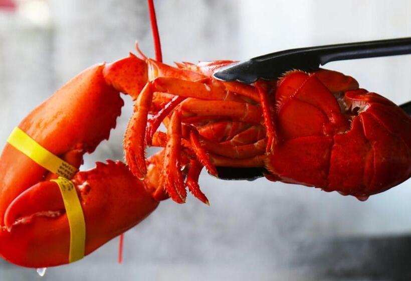 منتجع Cliff House Maine