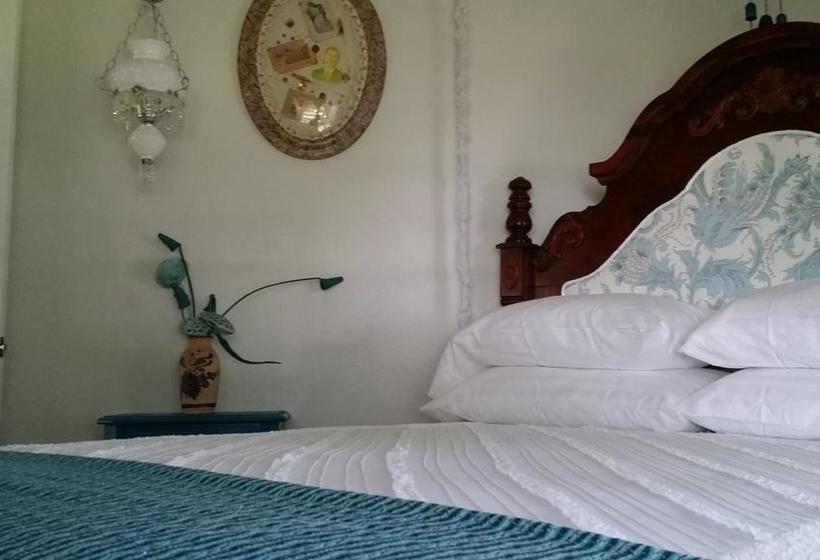 The Hoffmann Vacation Rental Bed & Breakfast