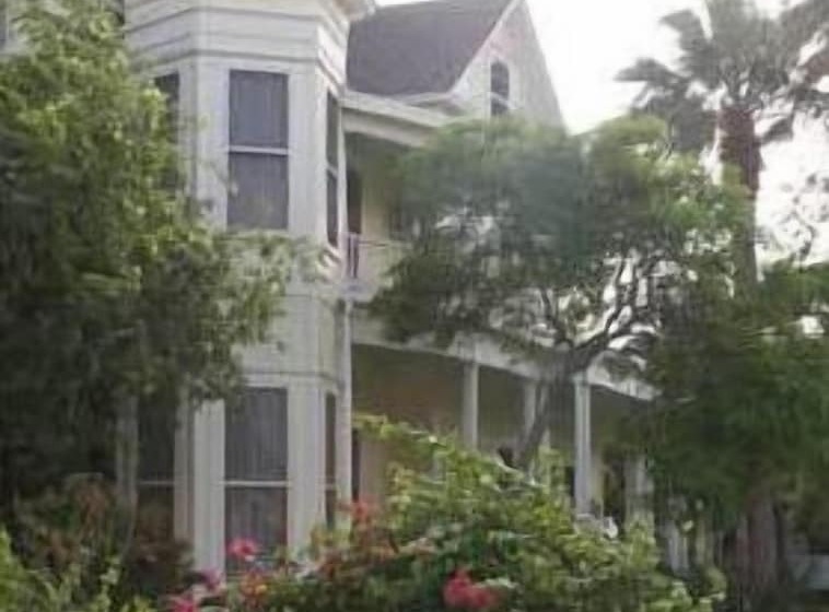 Angel Rose Bed & Breakfast