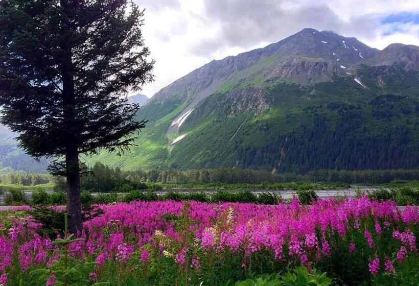 Arctic Paradise B&b