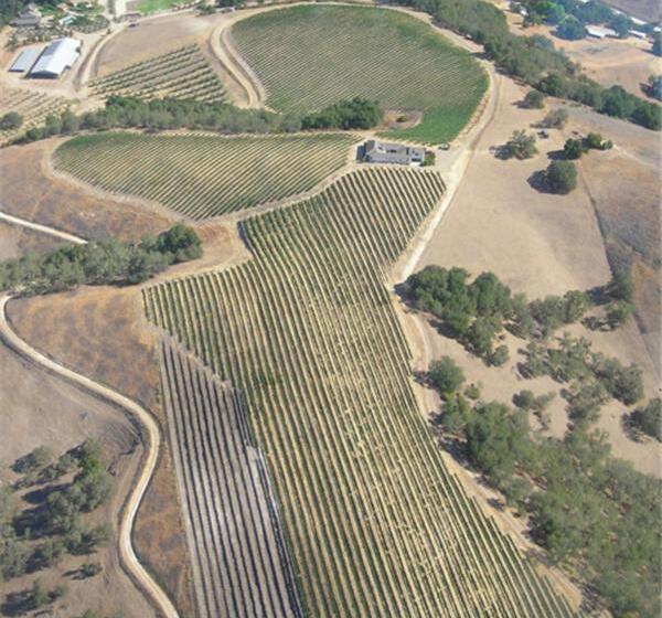 צימר The Eden House Vineyard