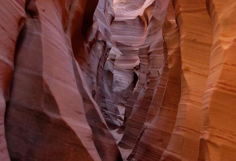 تختخواب و صبحانه The Inn Of Escalante