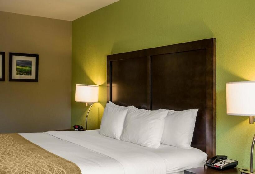 בית מלון כפרי Comfort Inn Sylva   Cullowhee