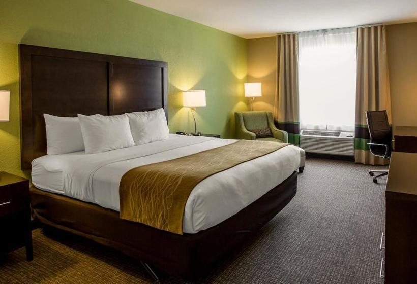 בית מלון כפרי Comfort Inn Sylva   Cullowhee