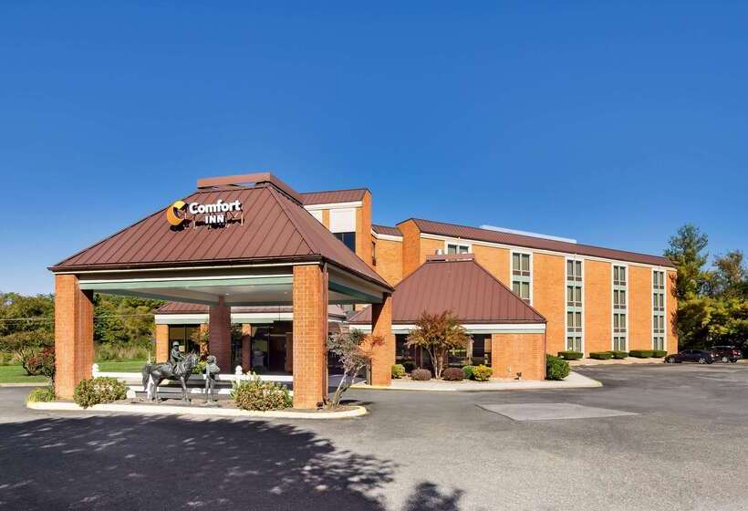 酒店 Comfort Inn Virginia Horse Center