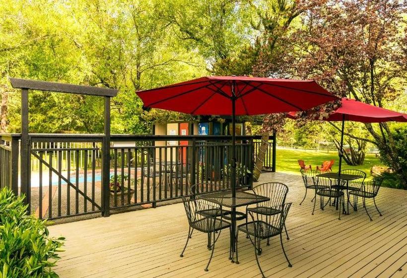 فندق Discovery Inn