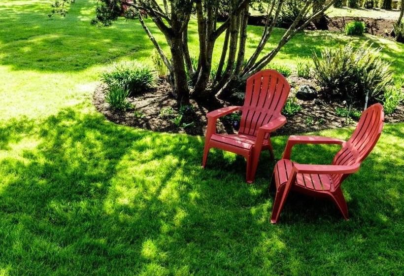 فندق Discovery Inn