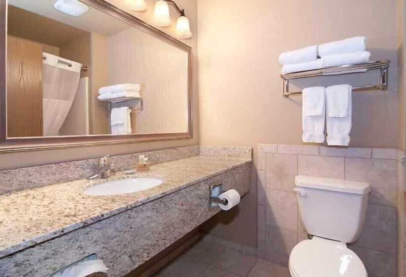 فندق The Watford