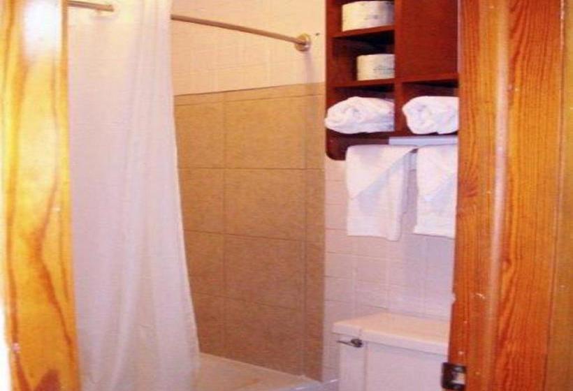 汽车旅馆  Budget Inn Palmyra