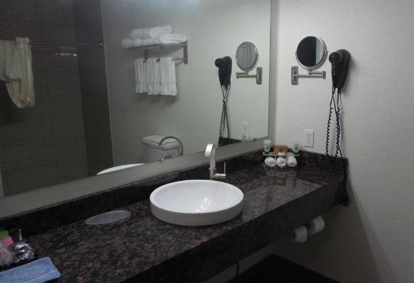 汽车旅馆  Budget Inn Palmyra