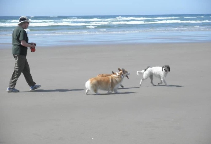 Tillicum Beach Motel   Formerly Deane S Oceanfront Lodge