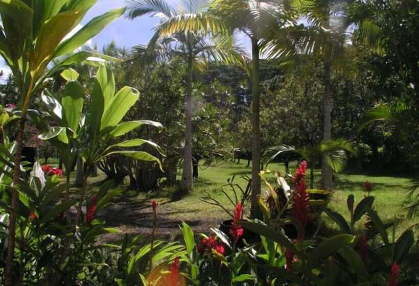Bed and Breakfast Lava Tree Tropic Inn
