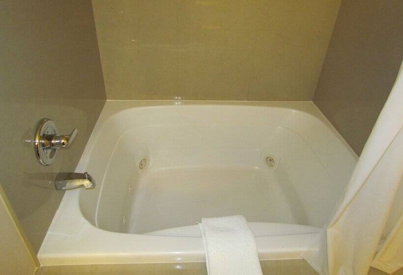 ホテル Ramada By Wyndham Glendale Heights/lombard