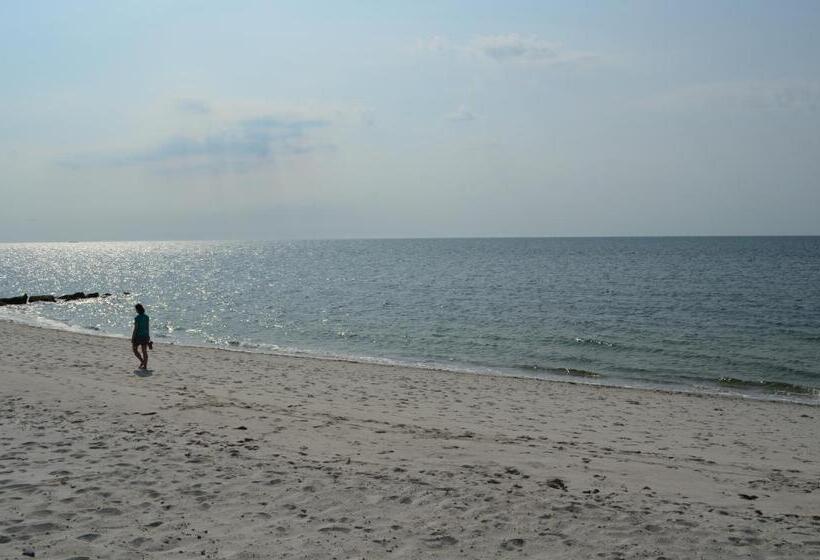 مُتل Cape Shore Inn