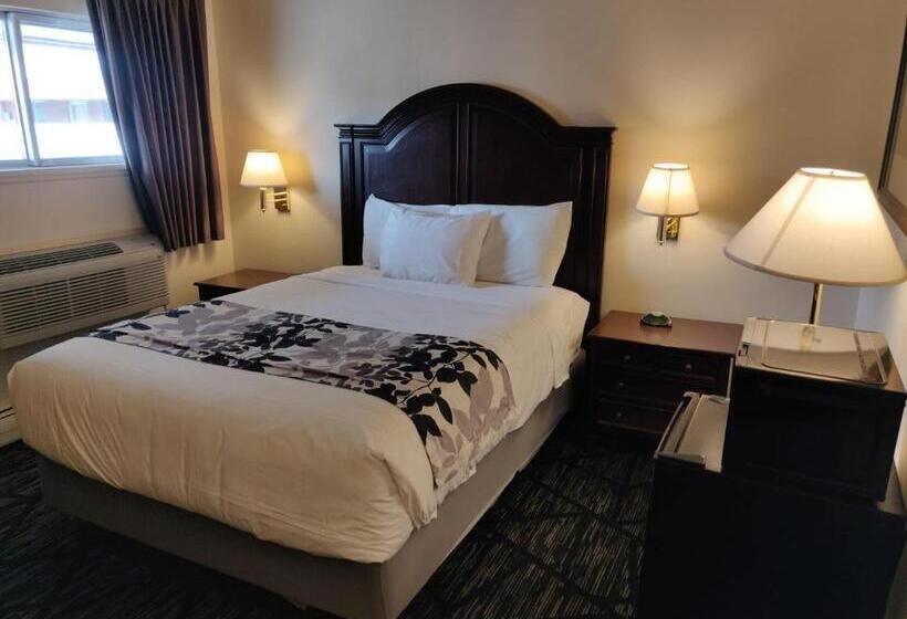 Мотель Skyline Motor Inn