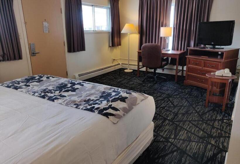 Мотель Skyline Motor Inn