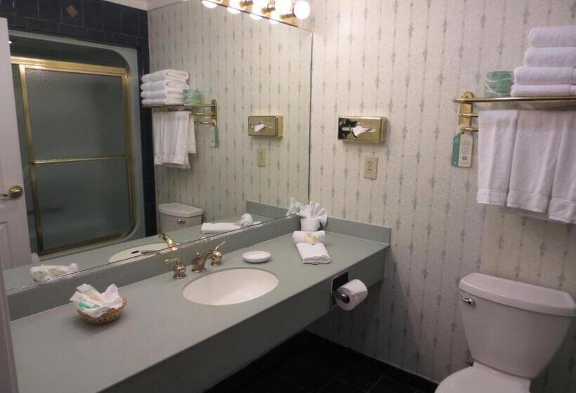 استراحتگاه Roosevelt Inn & Suites Saratoga Springs