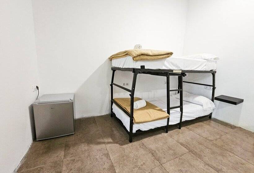 Hostel Backpacker Solopuent