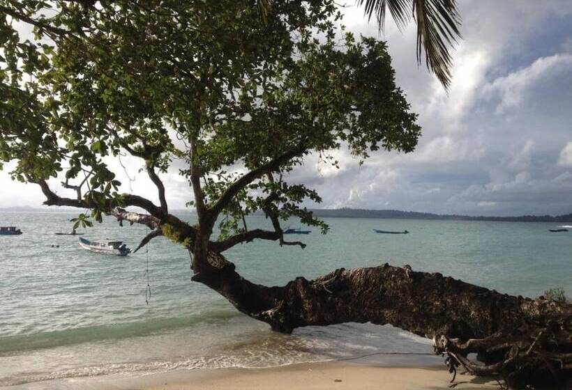 هاستل Nyang Ebay Surf Camp