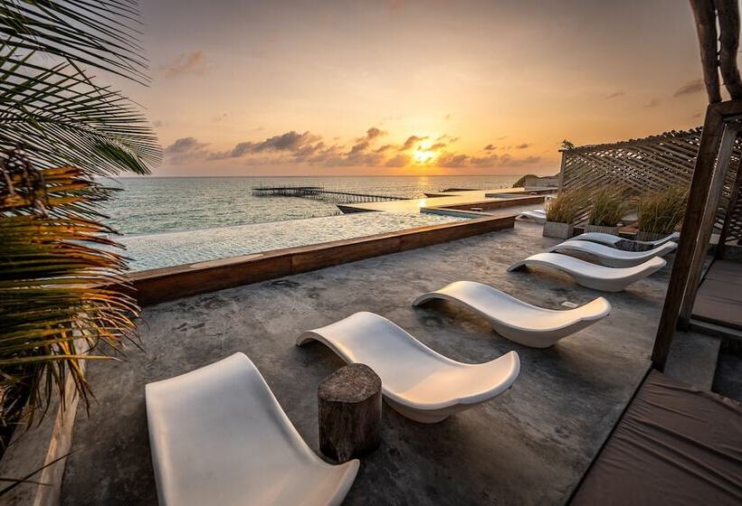 בית מלון כפרי Bamboo Zanzibar