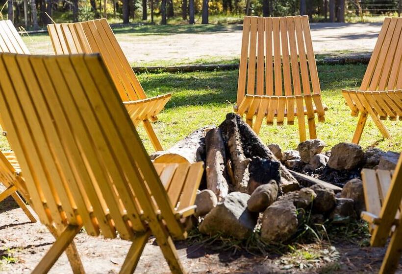 בית מלון כפרי Safari Glamping