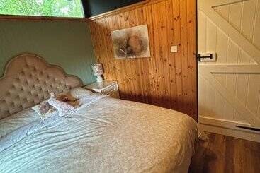 11 Tan Y Coed Woodland Lodge