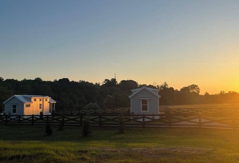 Circle T Mini Farms