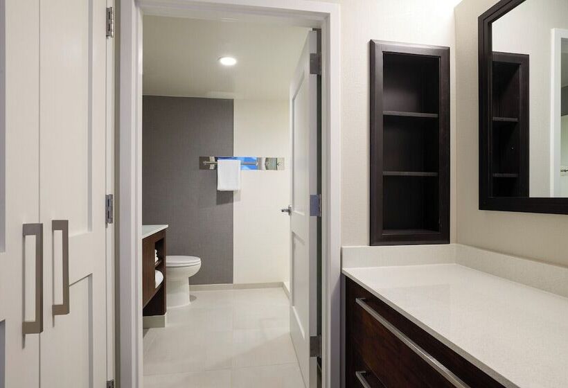 Отель Residence Inn By Marriott Eagle Boise