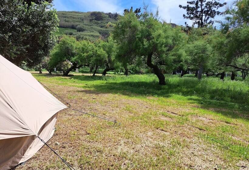 فندق Bearsu Nature Almoxarife