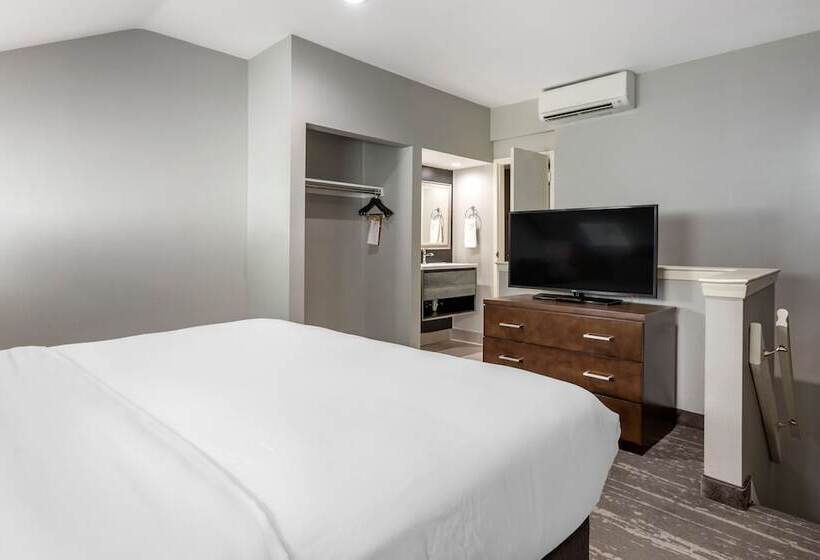 酒店 Amwell Suites Somerset/bridgewater