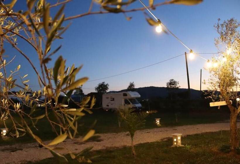 هتل Campeggio In Fattoria