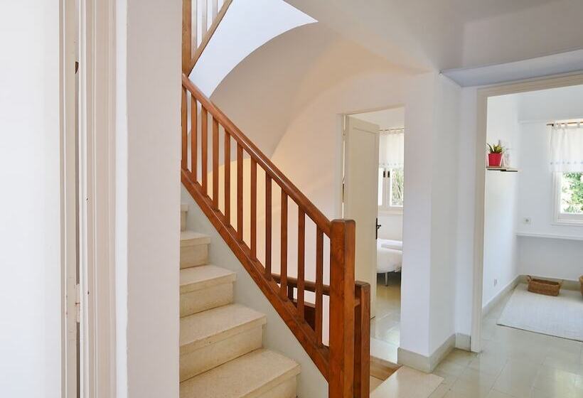 فندق Casa Concha   Casas