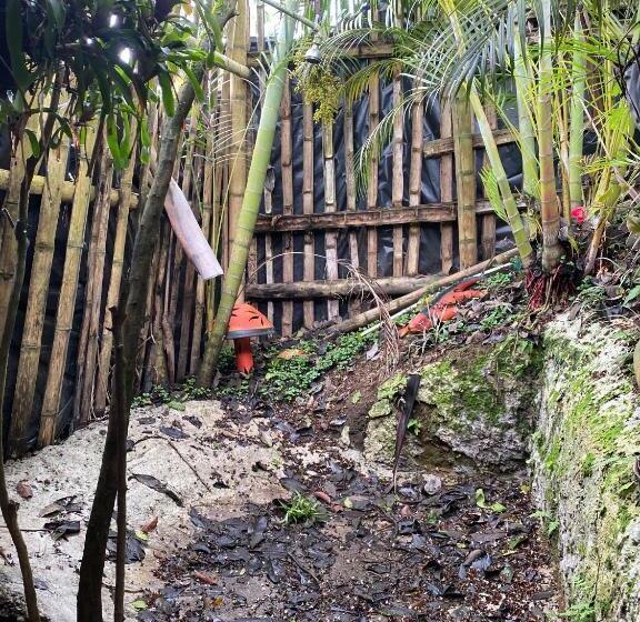 מלון כמוסות Finca Hotel Tierra Grata