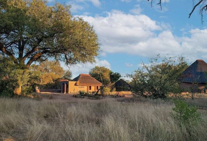 酒店 African Retreat Motswari By Newmark