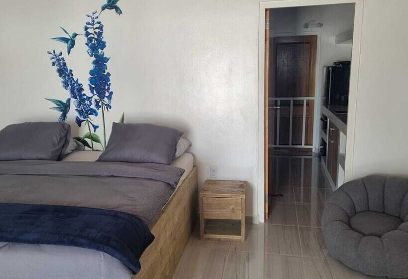 تختخواب و صبحانه Dushi Vida Country Inn