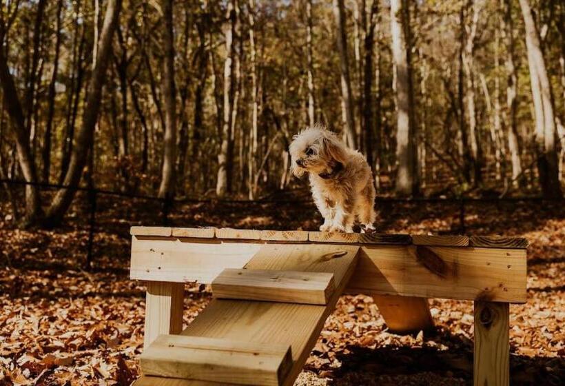 אתר נופש The Lodge Luxury Glamping Tent Hunting Theme